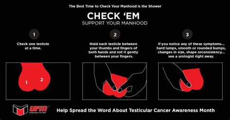 The good news is that testicular cancer is notable for having among the highest cure rates among all cancers. A Look Into Testicular Cancer and How The Right Support ...