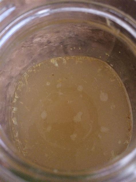 Day 2 Of My Ginger Bug And Its Already Bubbling Rfermentation