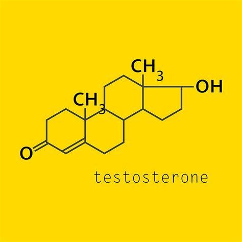 Testosterone Male Sex Hormone Androgen Molecule Vector Ai Eps Uidownload