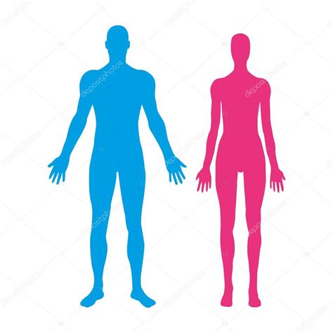 Silhouettes Of Man And Woman Vector Illustration Stock Vector By ©stas11 115607624