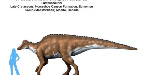 Spinops Hypacrosaurus Altispinus