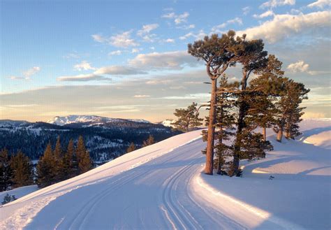 Ski California® The Unified Voice Of The Ski Industry In California And Nevada