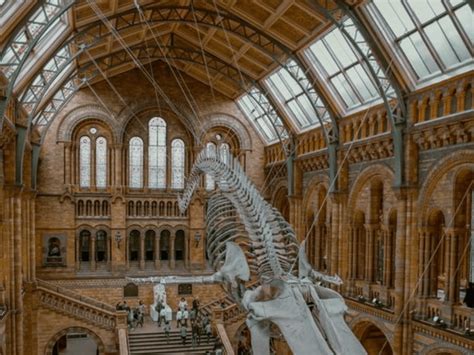 10 Of The Best London Museums To Visit Society19 Uk