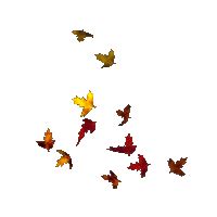 With tenor, maker of gif keyboard, add popular animated falling leaves background animated gifs to your conversations. Falling leaves gif transparent 2 » GIF Images Download