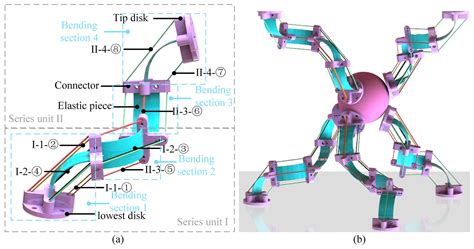 Ms Design And Kinematics Of A Lightweight Cruciform Continuum Robot