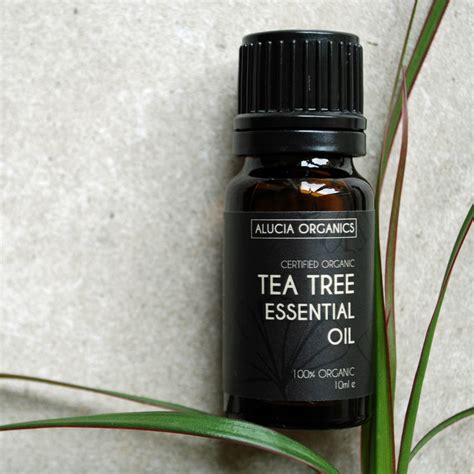 By doing this, the tea tree oil can get into their system and causes more toxicity. organic tea tree essential oil by alucia organics ...
