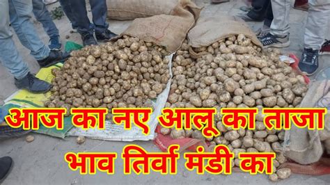 All India Potato Rate Youtube