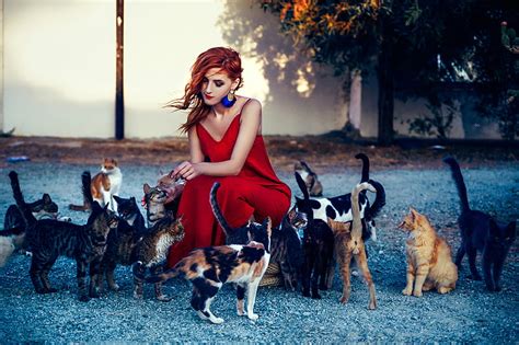 1920x1080px 1080p Free Download Girl In Red Dress Playing With Cats