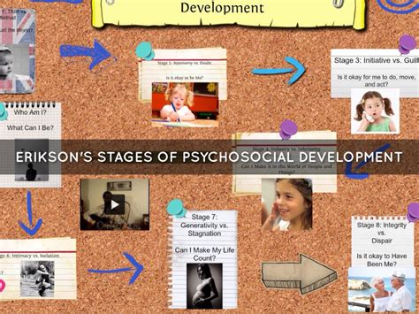 Eriksons Stages Of Psychosocial Development By S Gu