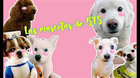 Bts Y Sus Mascotas Youtube