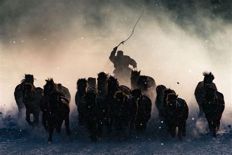 Winners National Geographic Awards Photographer Of The Year Shockblast