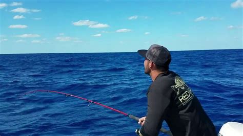 No Doubt Fishing Charters Key West Amberjack Cobia Yellowtail