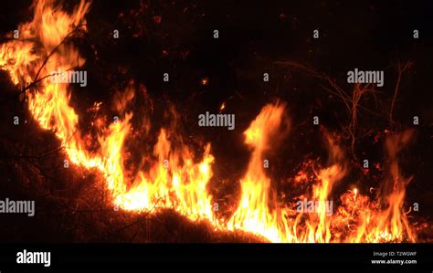 Forest Fire At Night Wildfire Fire Mountain Burned Wood Stock Photo