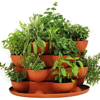 Planters design decorative planters decorating on a budget pottery decor pot designs backyard landscaping designs concrete pots. Terracotta Herb Garden Stackable Planter - Mediterranean ...
