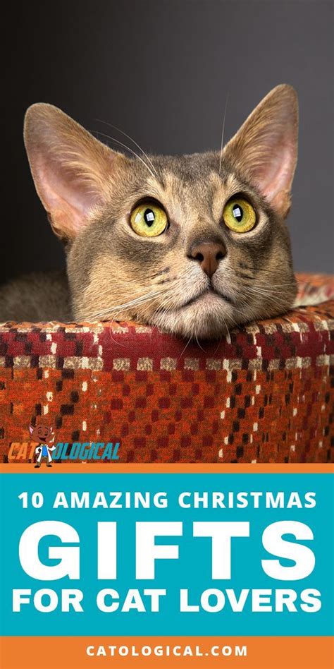 Check Out These Top 10 Amazing Christmas T Ideas To See What You Can