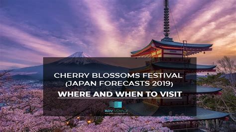 Cherry Blossoms Festival Japan Forecasts 2019 Where And When To Visit