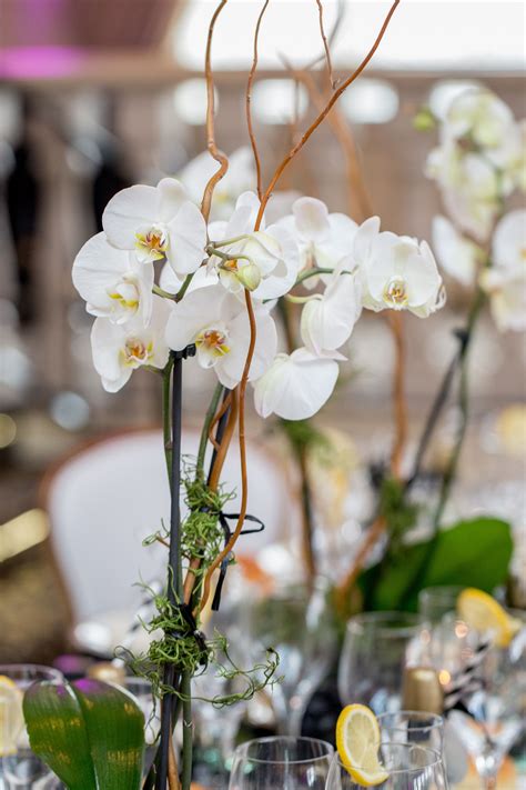 Potted Orchid Wedding Centerpiece Weddingenterpiece Orchid Centerpieces Wedding Wedding