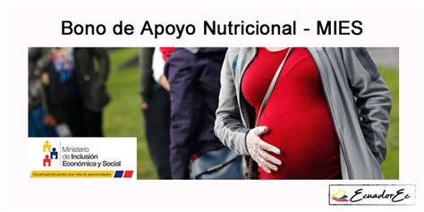 Bono De Apoyo Nutricional Soy Beneficiario De D Lares Mineduc