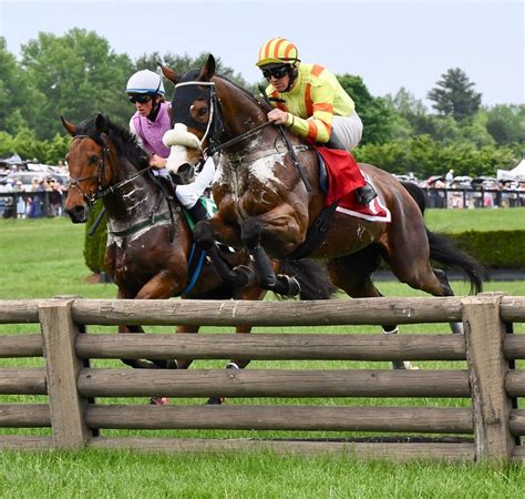 На офіційному сайті gold cup розігрується 3 різновиди накопичувальних джекпотів, які постійно збільшуються за рахунок ставок, зроблених користувачами. International Gold Cup Races at Great Meadow in The Plains ...