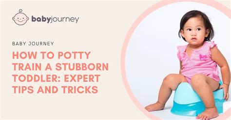 How To Potty Train A Stubborn Toddler Expert Tips And Tricks