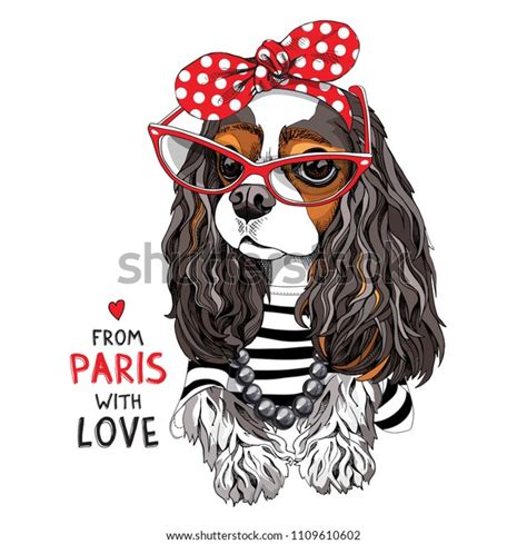 It has no label, but we can clearly tell it is a photo of a dog. Cavalier King Charles Spaniel Dog Striped Stock Vector ...