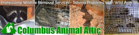 Stop by our store for the latest pest control products. Columbus Animal Attic, Wildlife Control in STAIT