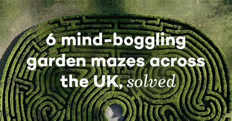 6 Mind Boggling Mazes Across The Uk Netcredit Blog