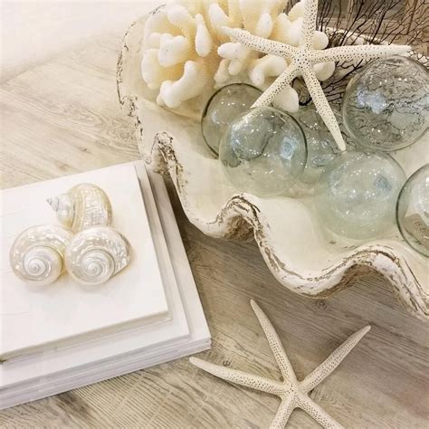 Check spelling or type a new query. These extra large faux clam shells just arrived and are a ...