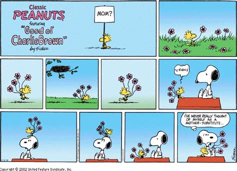 This Strip Was Published On May 12 2002 Snoopy And Woodstock