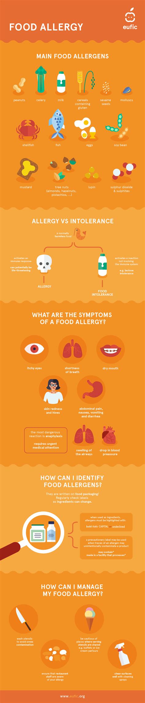 Food Allergen Infographic Eufic