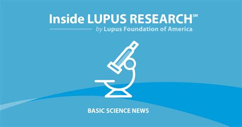 Researching The Role Of Sex Hormones In Lupus Lupus Foundation Of America