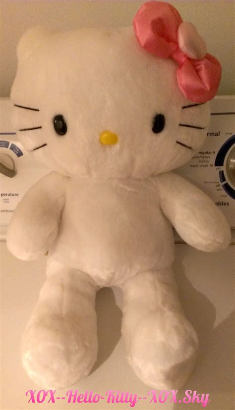 Pin By All Things Hello Kitty On Stuffies Hk Hello Kitty Kitty