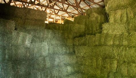 How To Effectively Stack Your Square Hay Bales Hobby Farms