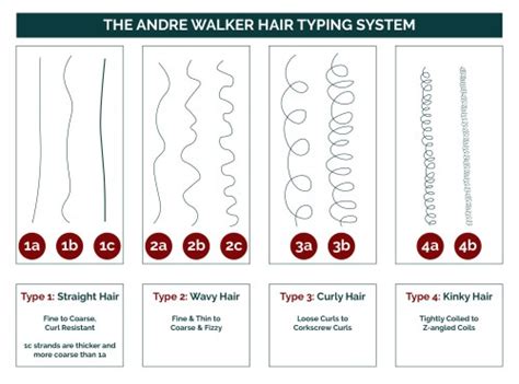 Hair Length Chart With An Ultimate Length Guide For Women