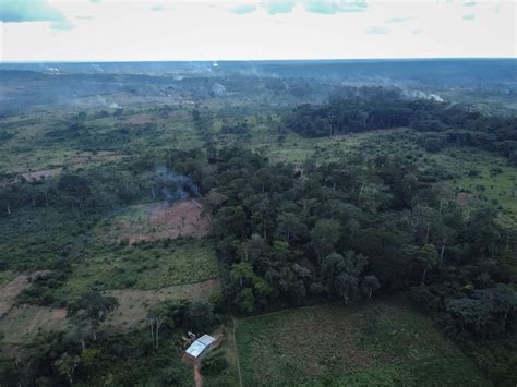 Congo Basin Worlds Second Biggest Rainforest Now Reported To Be