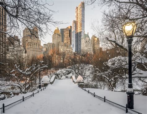 Wintertime In Central Park