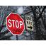 Vandalized Stop Signs With Many Messages  Bloom Magazine