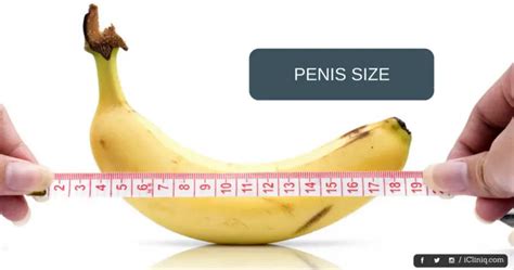 Is My Penis Normal Size Daily Sex Book