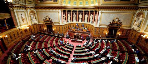 Последние твиты от sénat (@senat). Âge, sexe, sortants réélus : à quoi ressemble le nouveau ...
