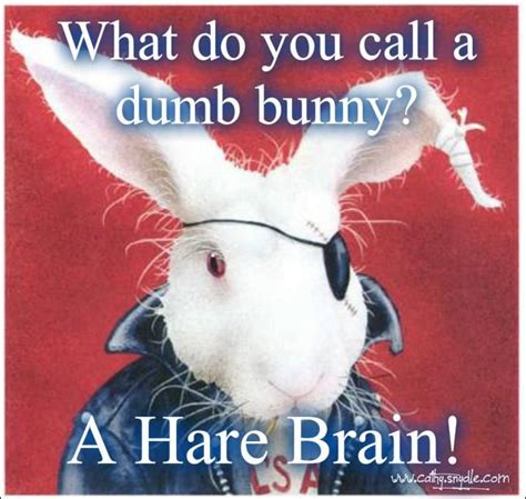 Most casket retailers aren't familiar with local mortuaries, cemeteries, and other funeral resources. What Do You Call A Dumb Bunny Pictures, Photos, and Images ...