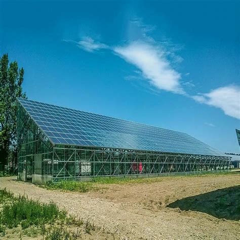 Rust Protection Greenhouse Pv Mounting Structure Wind Load 60ms