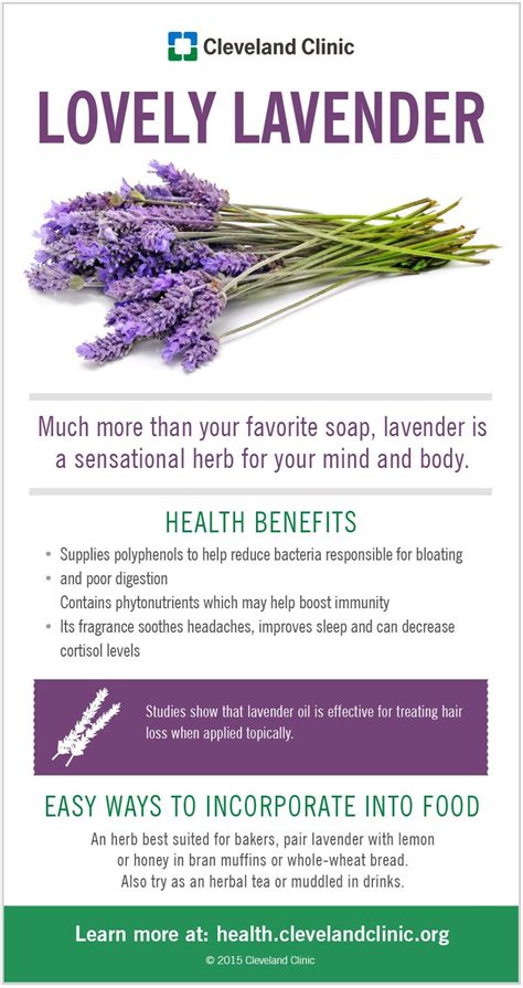 Theres A Reason Lavender Lavandula Angustifolia Is So Commonly Used