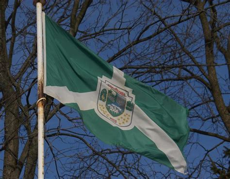 2011 02 11forest Flag Flag Of The Town Of Forest Ontario Flickr