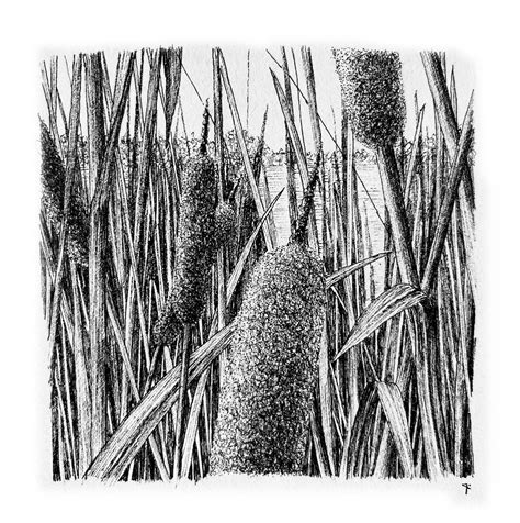 HEALING POWER OF NATURE on Behance