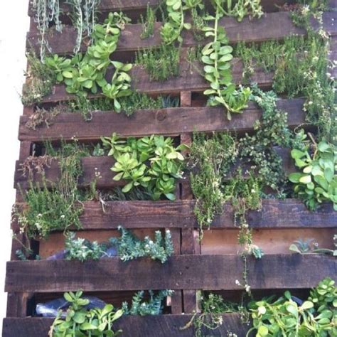 Wood Pallet Made Into A Living Wall Living Wall Home And Garden