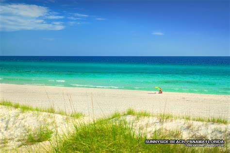 Florida Beaches Florida Beach Photo Free Desktop Background Nature And Wildlife Photos