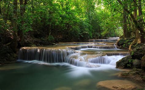 Hd Wallpaper River And Green Tree Greens Forest Trees Waterfalls