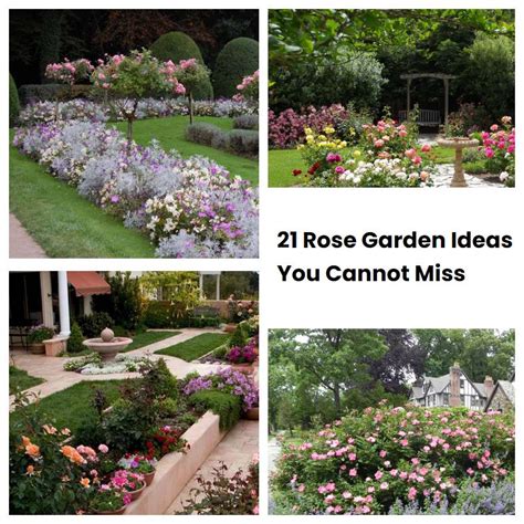 21 Rose Garden Ideas You Cannot Miss SharonSable