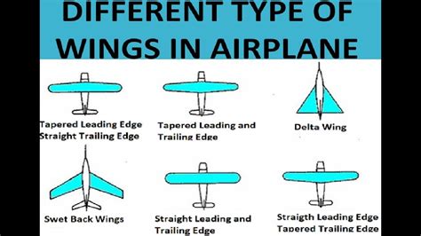 Types Of Wings In Airplane Aircraft Airplane Aircraft Wings