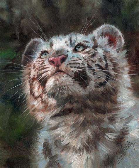 White Tiger Cub Painting By David Stribbling Pixels